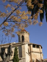 DSCN2501