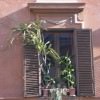 rome 027