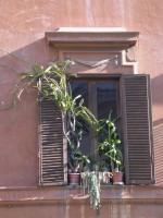 rome 027
